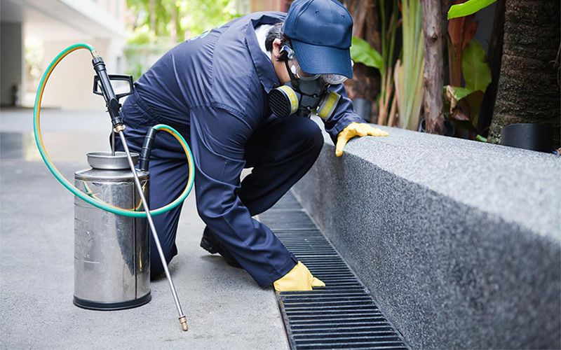 Bingöl böcek ilaçlama uygulaması